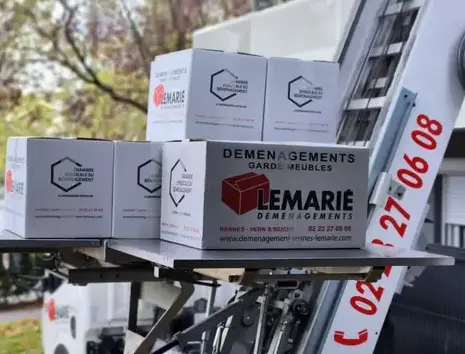 déménagement de bureaux Saint-Armel-1