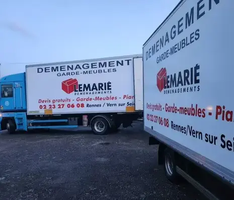 déménagement de piano à Cesson-Sévigné - image 4