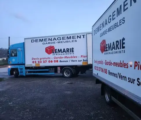 déménagement de piano à Noyal-sur-Vilaine - image 2