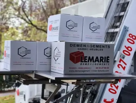 déménagement de piano Rennes-5