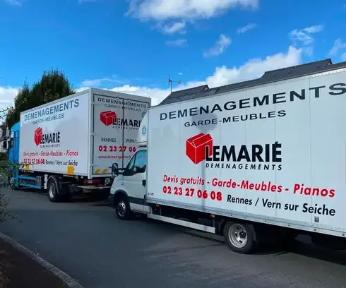 déménagement de piano Saint-Armel-1
