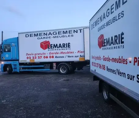 déménagement de piano à Saint-Armel - image 3