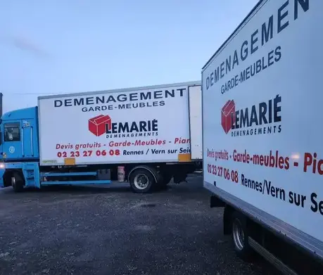 déménagement de piano à Saint-Jacques-de-la-Lande - image 4