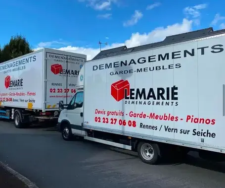 déménageur Saint-Armel-1