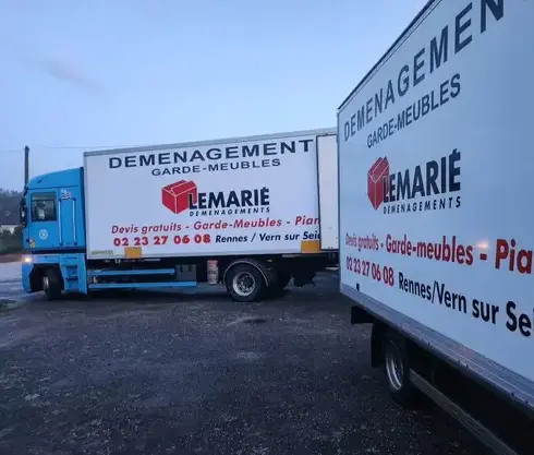 déménageur à Saint-Armel - image 2