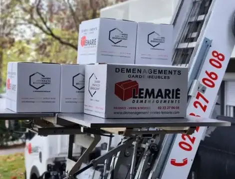 déménageur à Saint-Armel - image 4